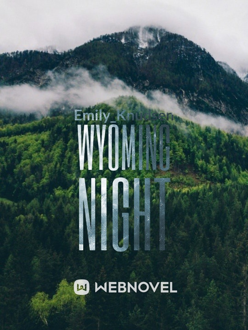 Wyoming Night
