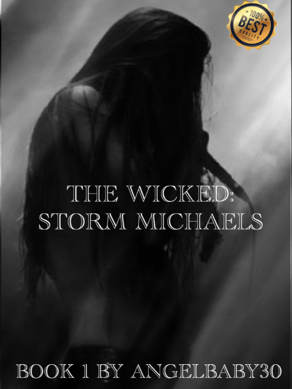 The Wicked: Storm Michaels Book 1 Book