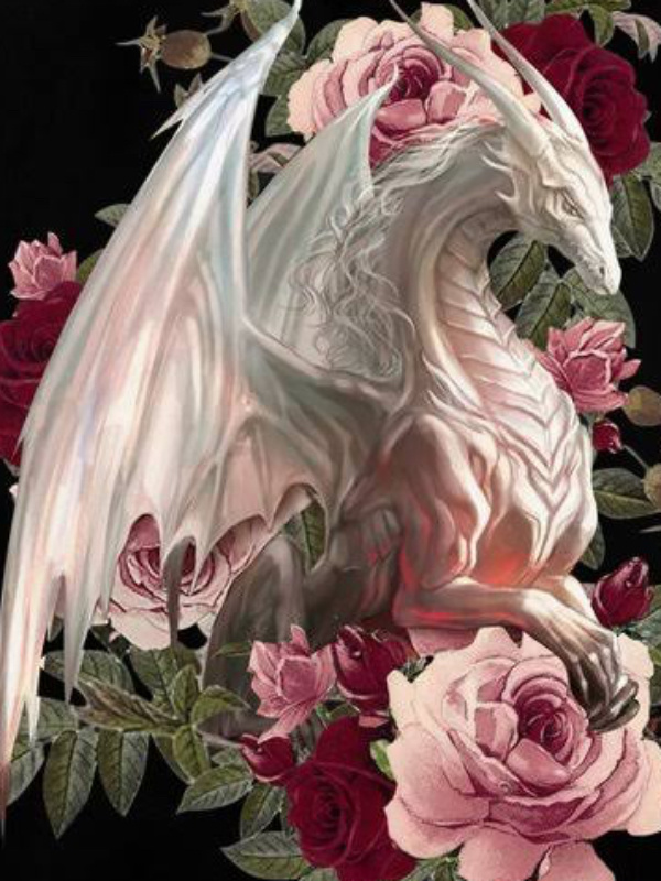 Reincarnated as a Dragoness Book