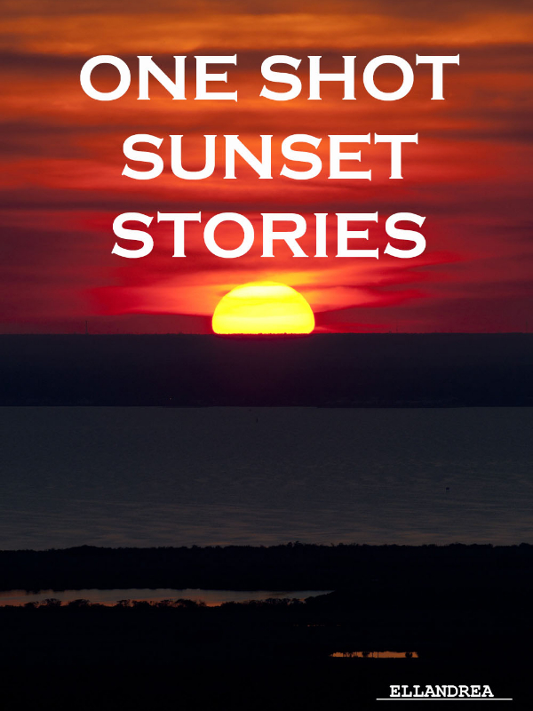 ONE SHOT SUNSET STORIES Book