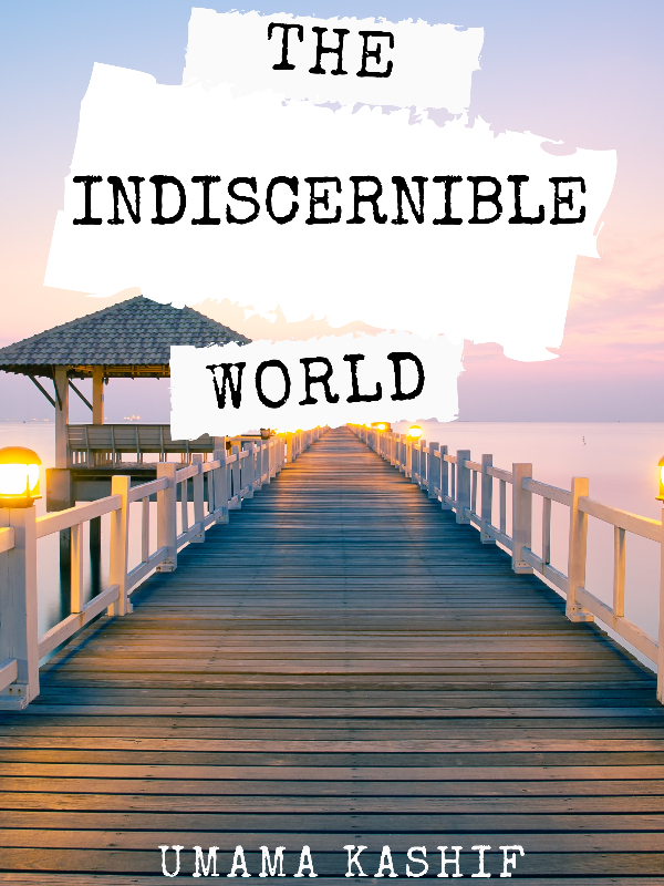 The Indiscernible World