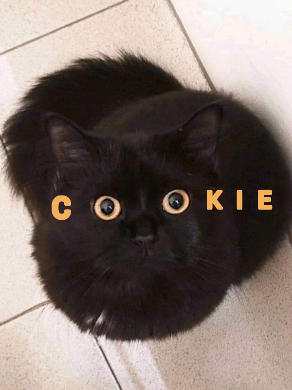 COOKIE Book