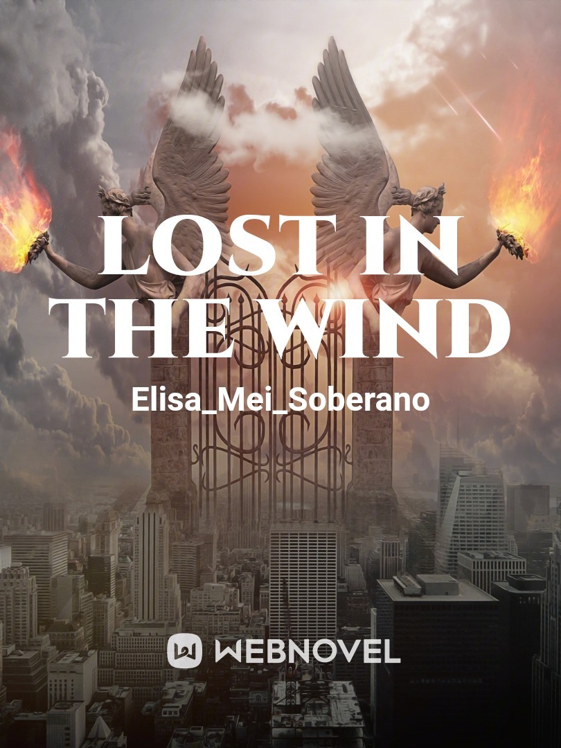 Lost in the wind Book