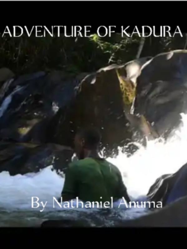 ADVENTURE OF KADURA Book