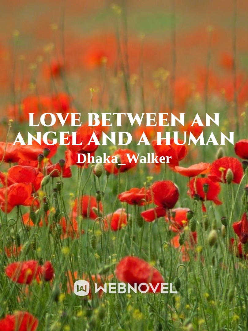 Love between an Angel  and a human Book