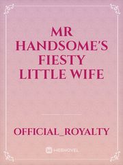 MR HANDSOME'S FIESTY LITTLE WIFE Book