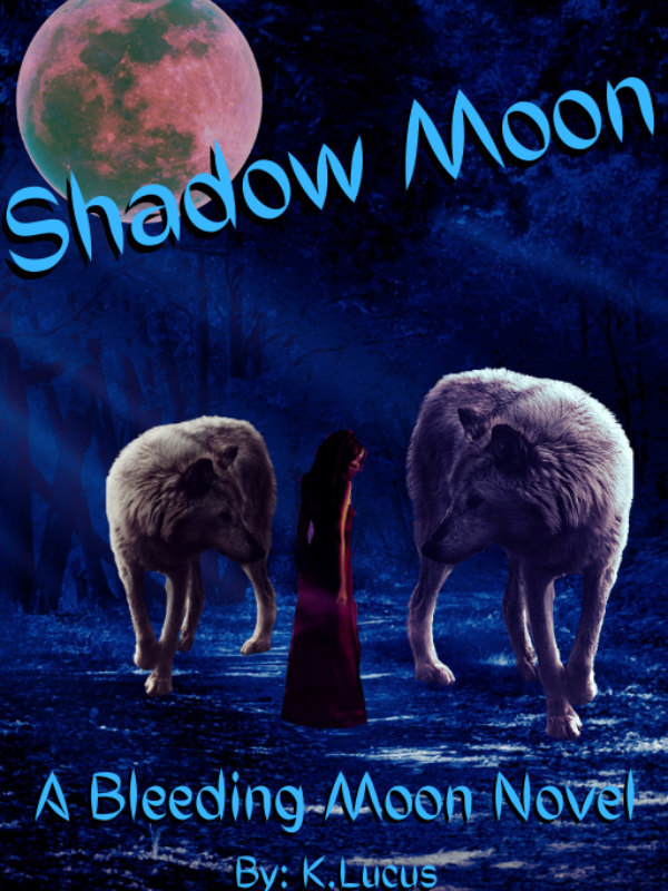 Shadow Moon