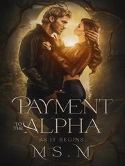 Payment to The  Alpha Book