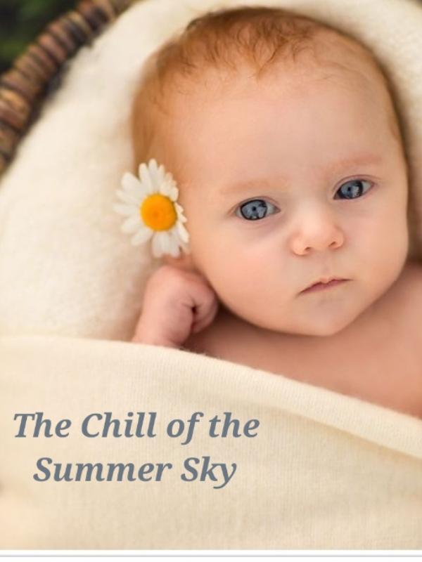 The Chill of the Summer Sky Book
