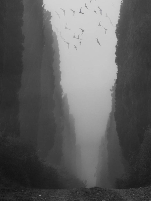 mist master in the murim world