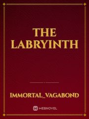 The Labryinth Book
