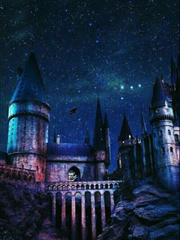 HP: Life in Hogwarts ( SI OC) Book