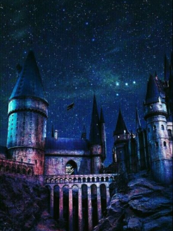 HP: Life in Hogwarts ( SI OC)
