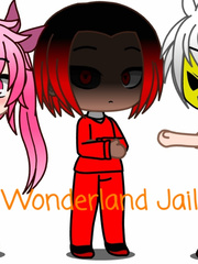 Wonderland Jail Book