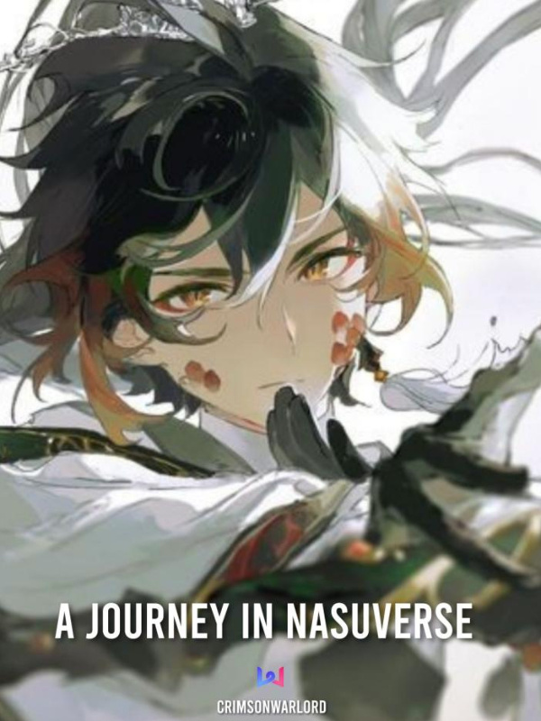 A journey in Nasuverse