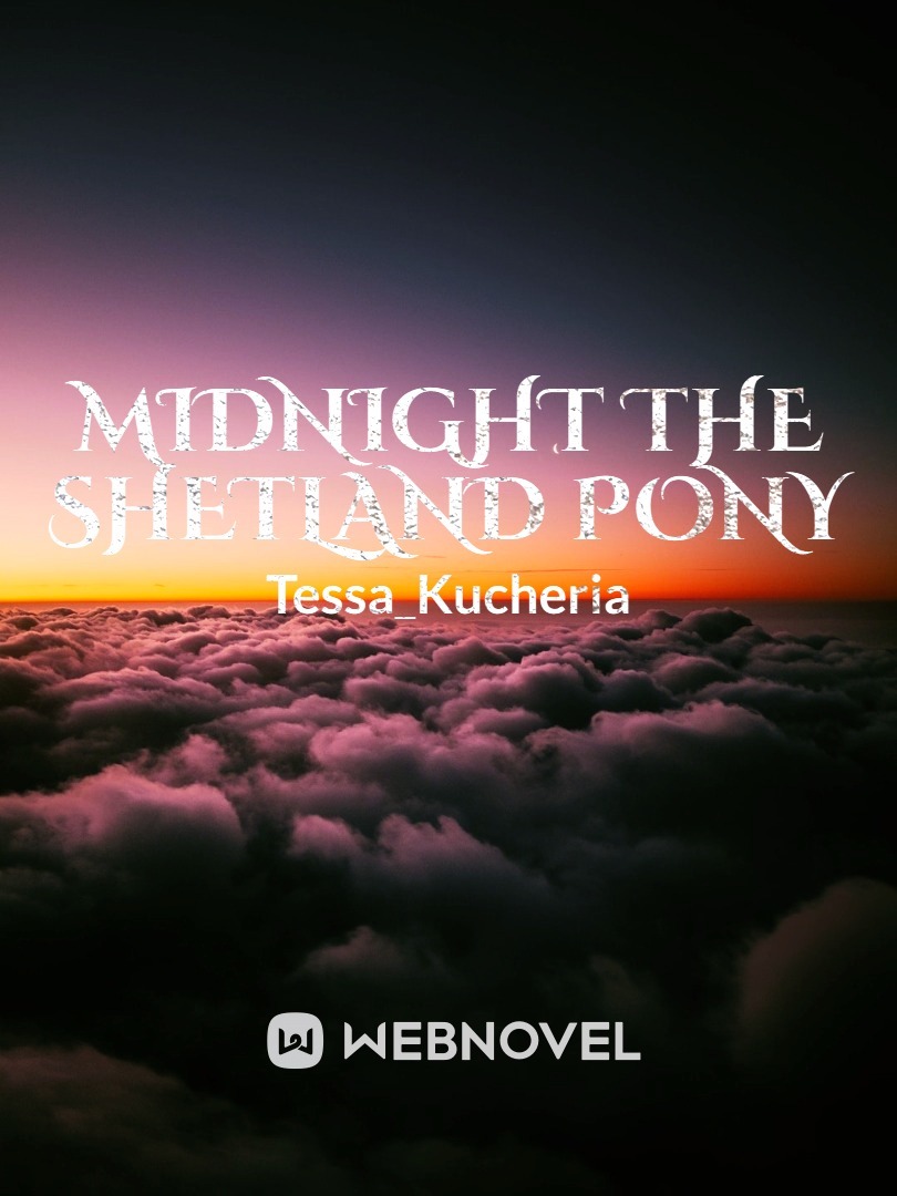 midnight the Shetland pony