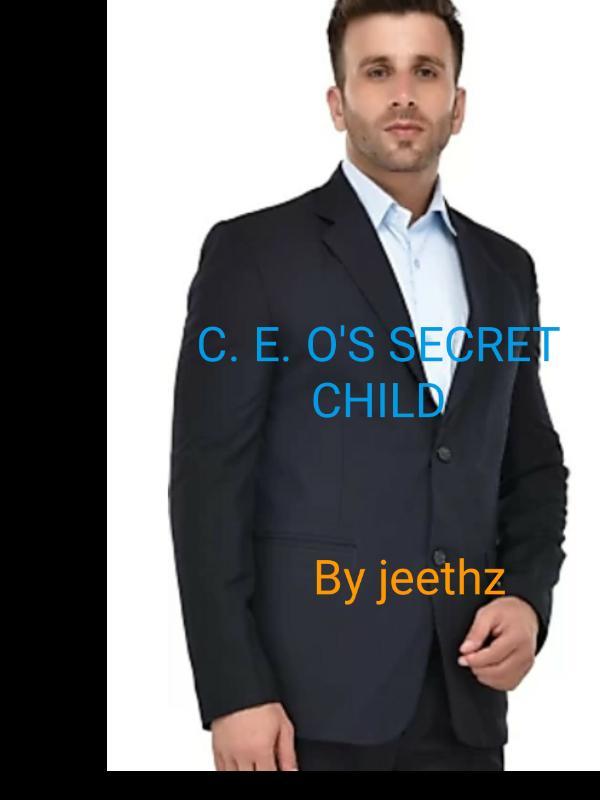 C E.O's Secret Child