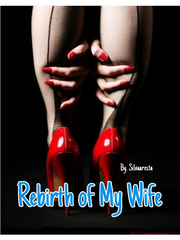 Rebirth Of My Wife Book