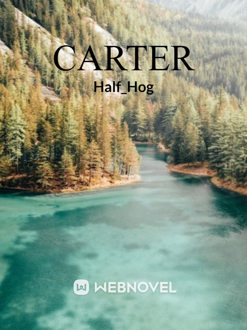 Beginning of Carter