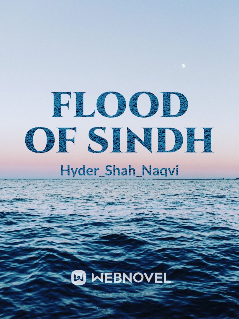 FLOOD OF SINDH PAKISTAN Book