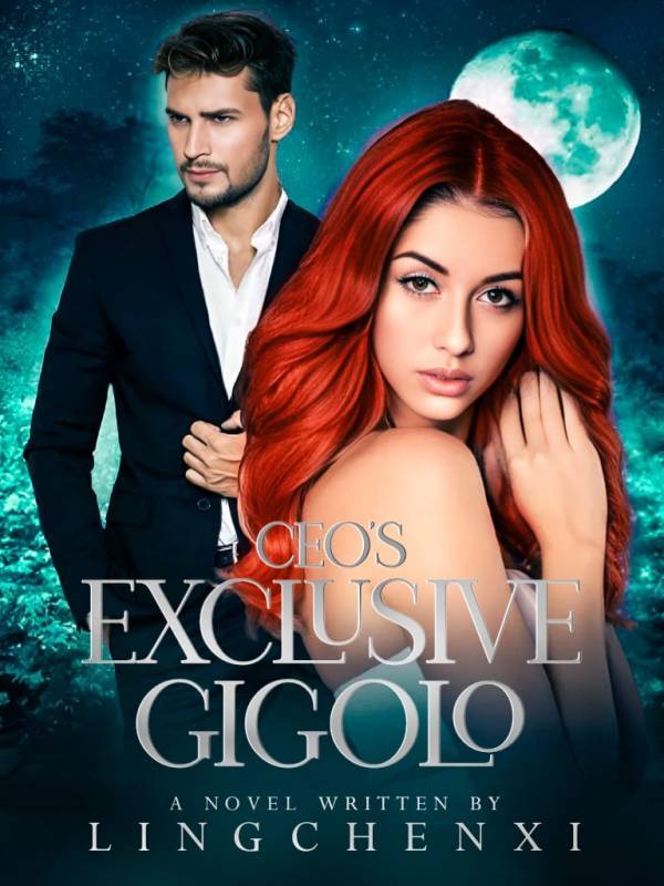 CEO‘s Exclusive Gigolo Book