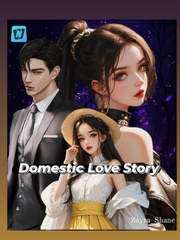 Domestic Love Story Book