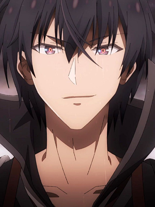 Infinite Stratos: The Fugitive Second Male Pilot