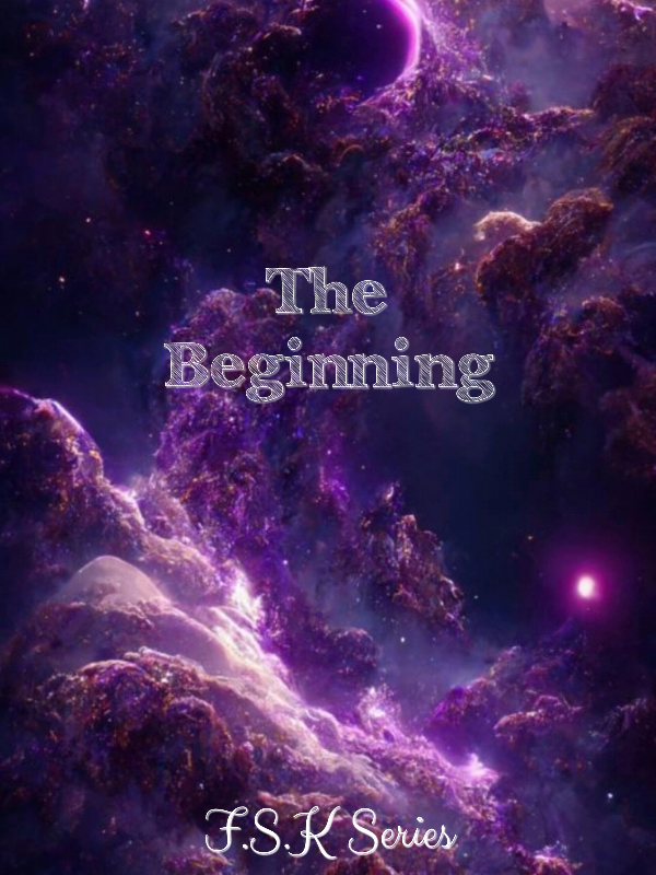 The Beginning (F.S.K Series) Book