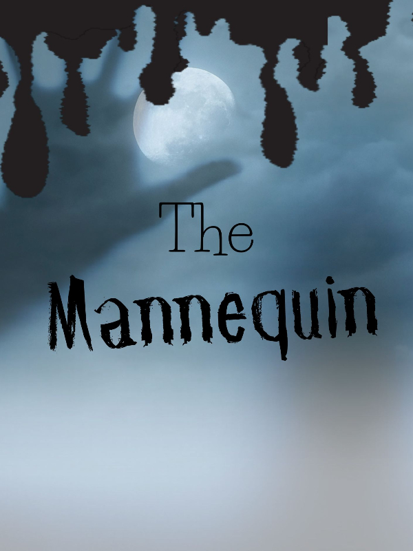 The Mannequin and the Girl Book