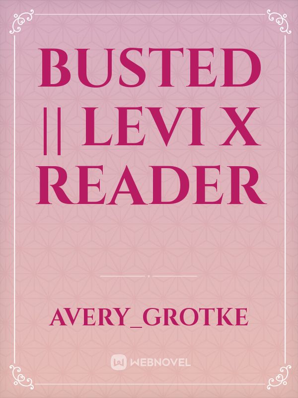 Busted ||  Levi x Reader Book