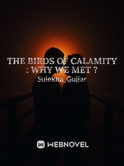 THE BIRDS OF CALAMITY : Book