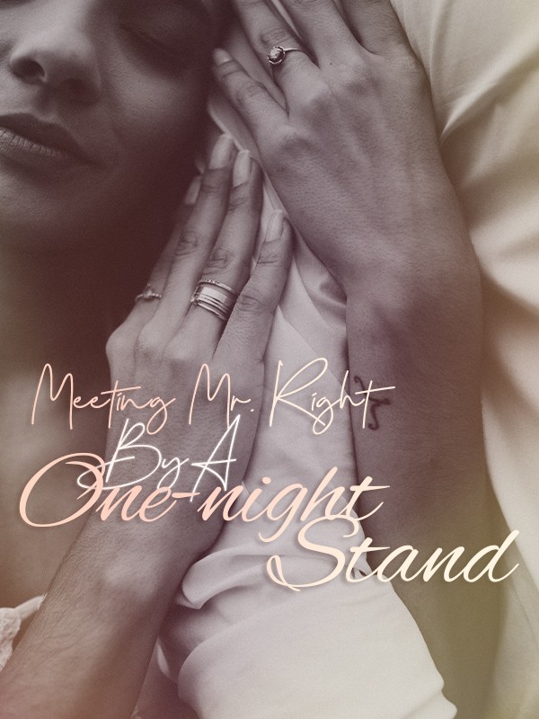 Meeting Mr. Right By A One-night Stand Book