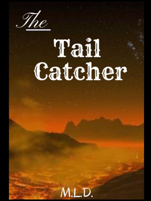 The Tail Catcher Book