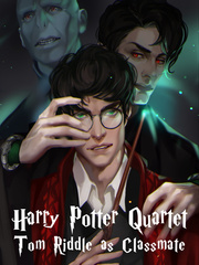 Tom Riddle as Classmate: Harry Potter Quartet Book