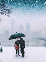 During The Blizzard Book