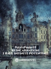 Reincarnation: I Have Infinite Potential Book