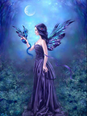 Fairy Princess Love: When She Enter That Realm Book