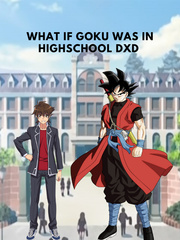 What if goku was in highschool dxd Book