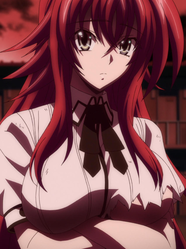 Re-incarnated in High School DXD with [Infinite Anime System