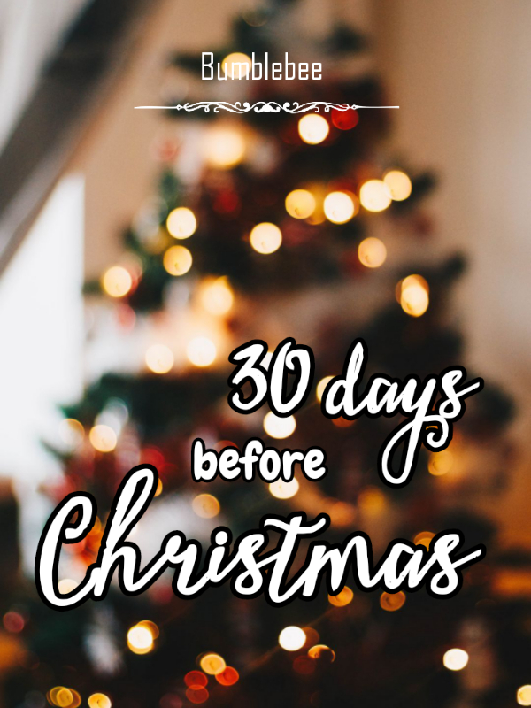 30 DAYS BEFORE CHRISTMAS Book