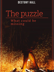 The Puzzle? Book