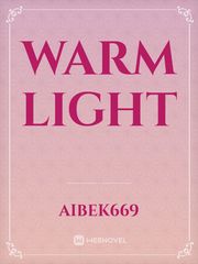 Warm Light Book