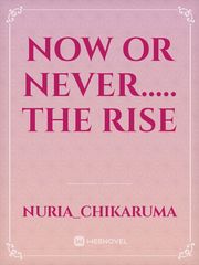 Now Or Never..... The rise Book