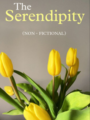 The Serendipity Book