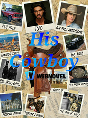 His Cowboy Book