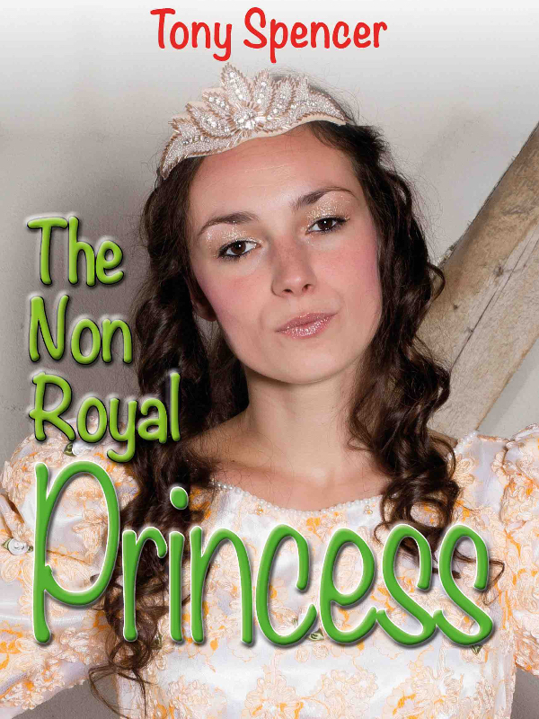 The Non Royal Princess Book