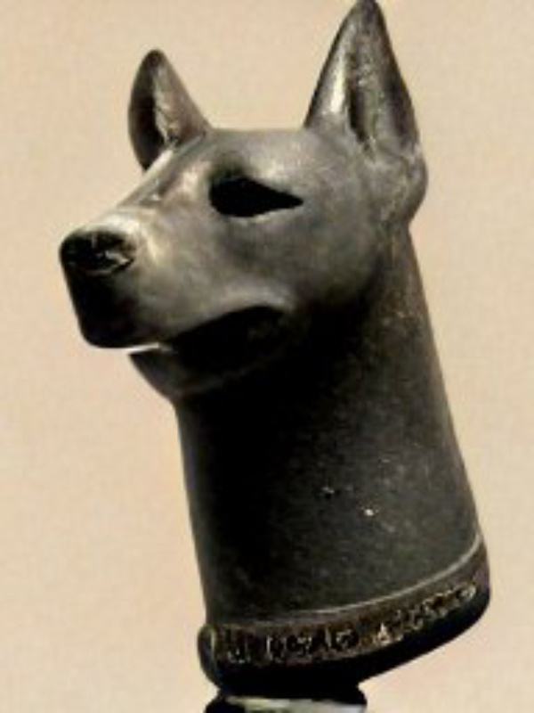 A dog in 200 BC