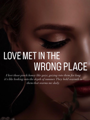 Love Met In The Wrong Place Book