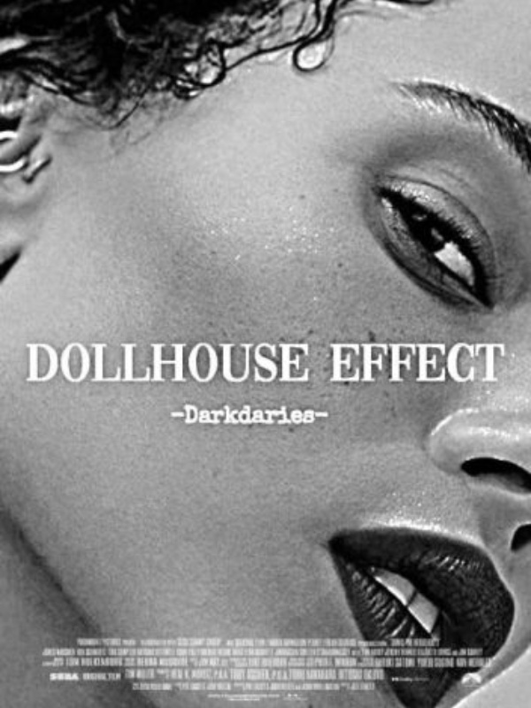 Dollhouse Effect Book