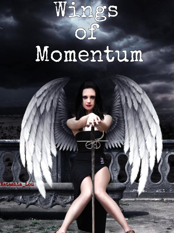 Wings of Momentum Book